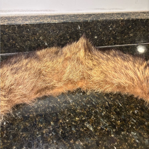 Vintage 1950s Fur Stole or Coat Collar - Picture 4 of 8